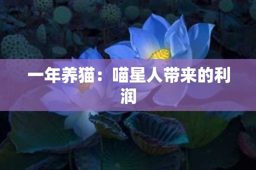 一年养猫：喵星人带来的利润
