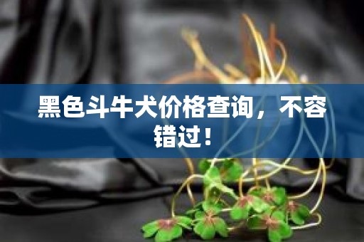 黑色斗牛犬价格查询，不容错过！