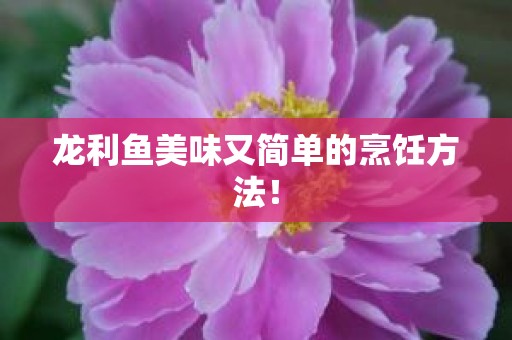 龙利鱼美味又简单的烹饪方法！