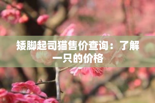 矮脚起司猫售价查询：了解一只的价格