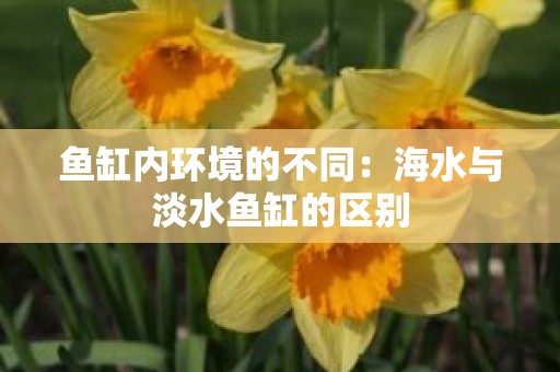 鱼缸内环境的不同：海水与淡水鱼缸的区别