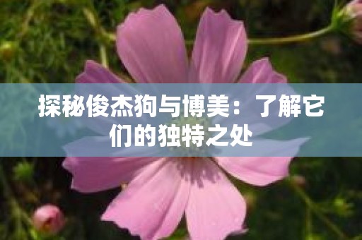 探秘俊杰狗与博美：了解它们的独特之处