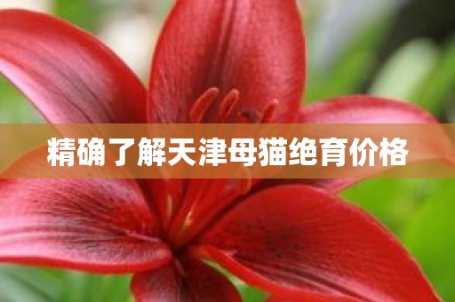 精确了解天津母猫绝育价格