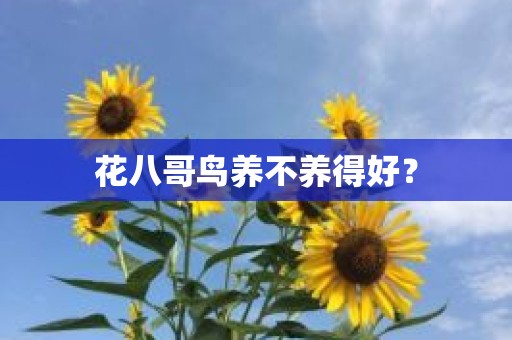 花八哥鸟养不养得好？
