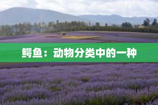 鳄鱼：动物分类中的一种