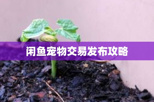 闲鱼宠物交易发布攻略