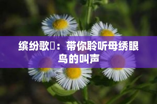 缤纷歌囀：带你聆听母绣眼鸟的叫声