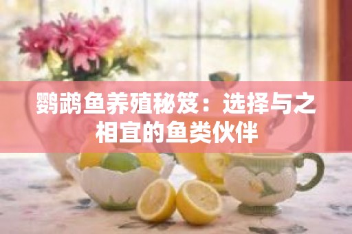 鹦鹉鱼养殖秘笈：选择与之相宜的鱼类伙伴