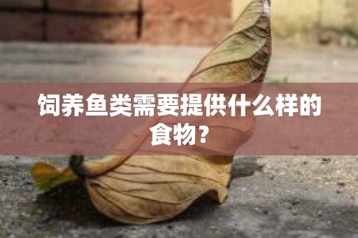 饲养鱼类需要提供什么样的食物？