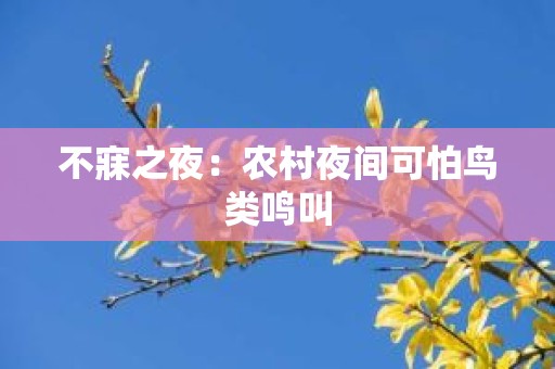 不寐之夜：农村夜间可怕鸟类鸣叫