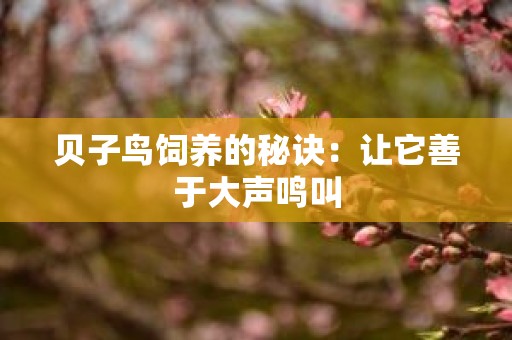 贝子鸟饲养的秘诀：让它善于大声鸣叫