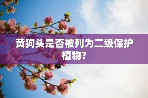 黄狗头是否被列为二级保护植物？