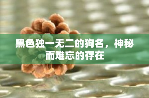 黑色独一无二的狗名，神秘而难忘的存在