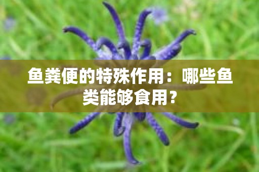 鱼粪便的特殊作用：哪些鱼类能够食用？