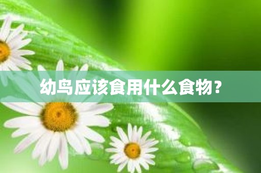 幼鸟应该食用什么食物？