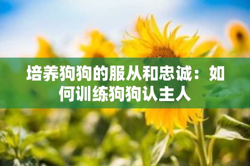 培养狗狗的服从和忠诚：如何训练狗狗认主人