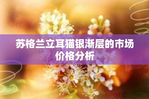 苏格兰立耳猫银渐层的市场价格分析