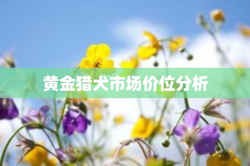 黄金猎犬市场价位分析