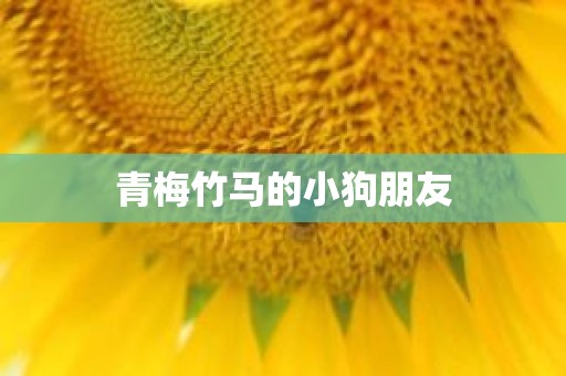 青梅竹马的小狗朋友