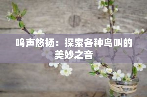 鸣声悠扬：探索各种鸟叫的美妙之音