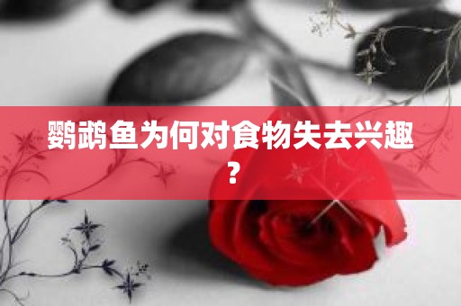 鹦鹉鱼为何对食物失去兴趣？