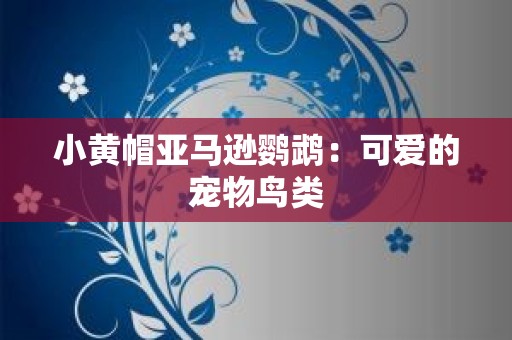 小黄帽亚马逊鹦鹉：可爱的宠物鸟类