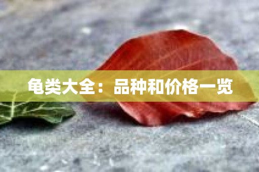 龟类大全：品种和价格一览