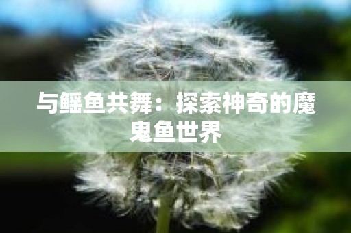 与鳐鱼共舞：探索神奇的魔鬼鱼世界