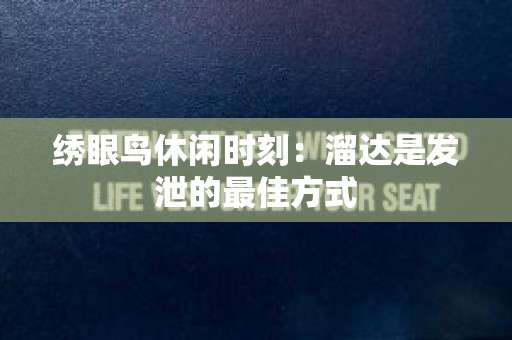 绣眼鸟休闲时刻：溜达是发泄的最佳方式