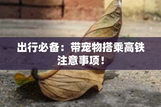 出行必备：带宠物搭乘高铁注意事项！