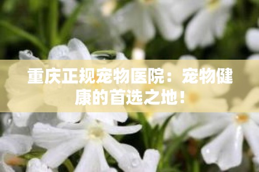 重庆正规宠物医院：宠物健康的首选之地！