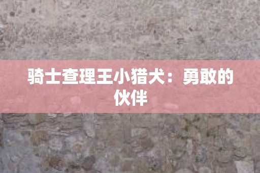 骑士查理王小猎犬：勇敢的伙伴