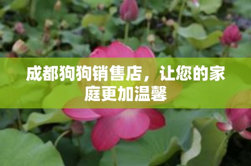 成都狗狗销售店，让您的家庭更加温馨