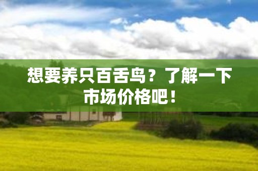 想要养只百舌鸟？了解一下市场价格吧！