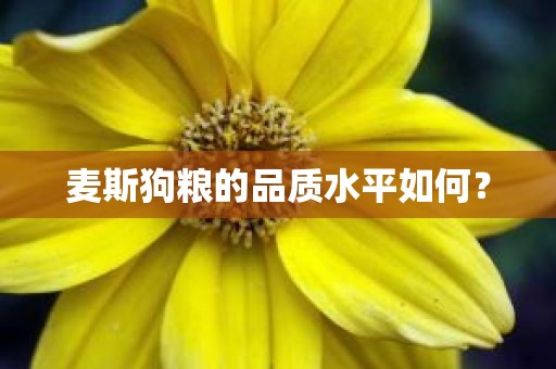 麦斯狗粮的品质水平如何？