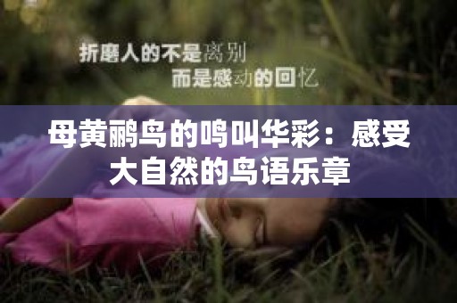 母黄鹂鸟的鸣叫华彩：感受大自然的鸟语乐章