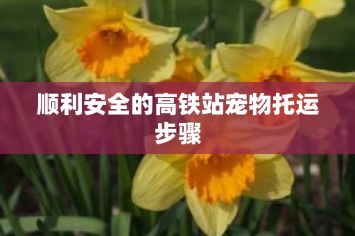 顺利安全的高铁站宠物托运步骤