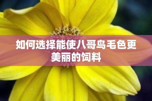 如何选择能使八哥鸟毛色更美丽的饲料