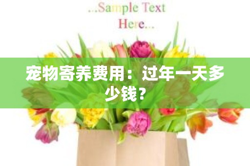 宠物寄养费用：过年一天多少钱？