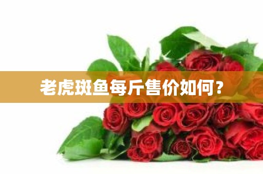 老虎斑鱼每斤售价如何？