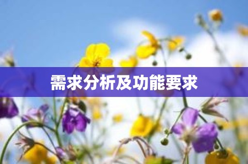 需求分析及功能要求