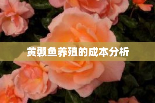 黄颡鱼养殖的成本分析