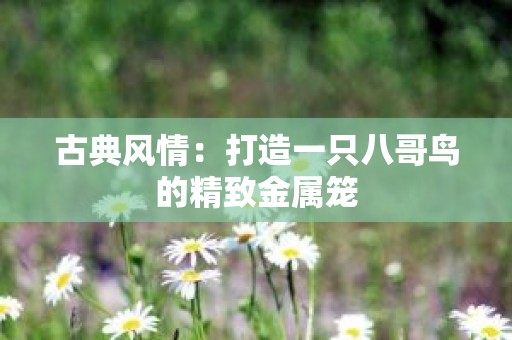 古典风情：打造一只八哥鸟的精致金属笼