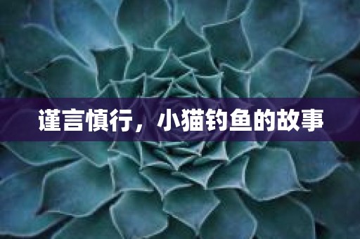 谨言慎行，小猫钓鱼的故事