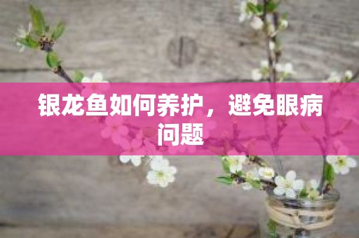 银龙鱼如何养护，避免眼病问题