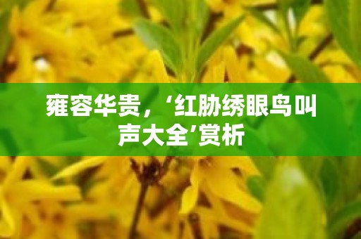雍容华贵，‘红胁绣眼鸟叫声大全’赏析