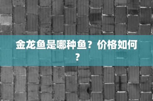 金龙鱼是哪种鱼？价格如何？