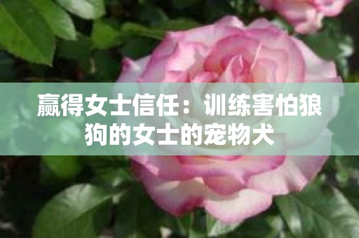 赢得女士信任：训练害怕狼狗的女士的宠物犬