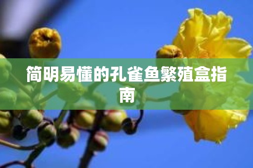 简明易懂的孔雀鱼繁殖盒指南