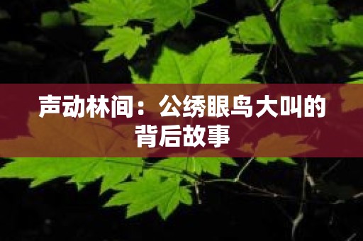 声动林间：公绣眼鸟大叫的背后故事